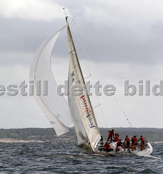 ORCi 526.jpg